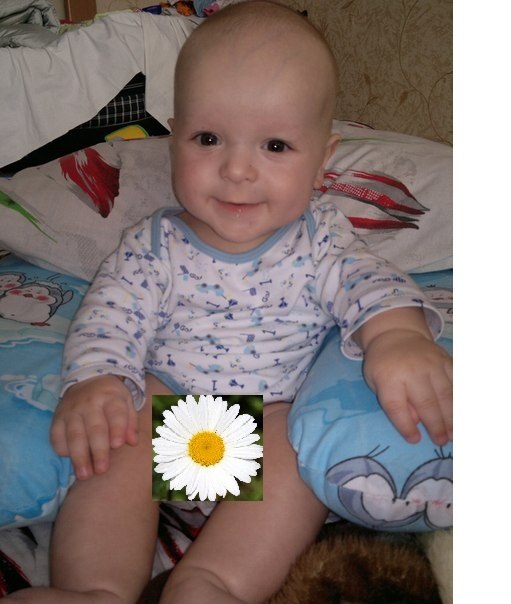 Мария Сахапова | Тула