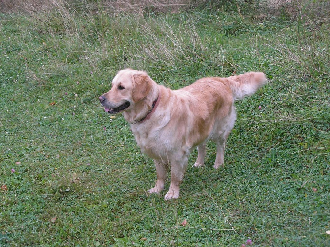 Илья Лазуткин Николаевич | Москва