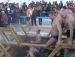 Сергей Бабенко фотография #8 (источник - https://vk.com/id70750893)
