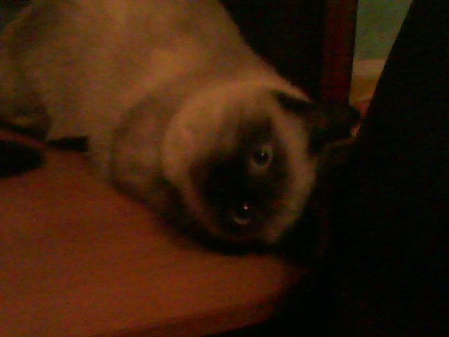 Мария Ткачёва | Казань