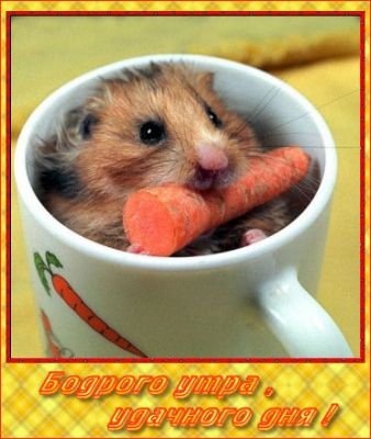 №7, Даша Романчук №7, Даша Романчук