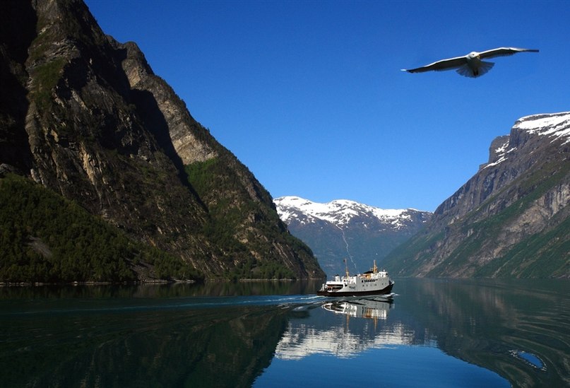 Анна Шокотько | Вольногорск