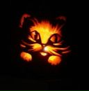 №17 Вячеслав Строганов 09.03.1975: профиль, фото, статус - ВКонтакте