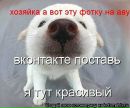 Фотография Даяна Аубекерова