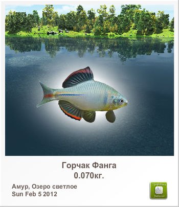 Виталик Цегельний | Васильков
