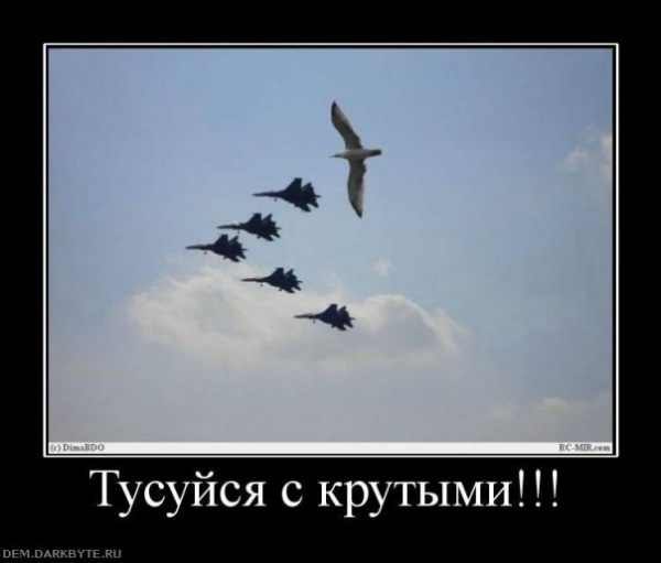 Анна Шустак | 