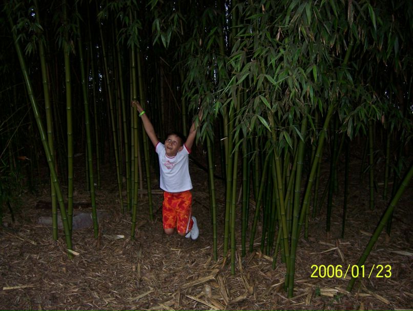 Просто Дмитрий | Рязань