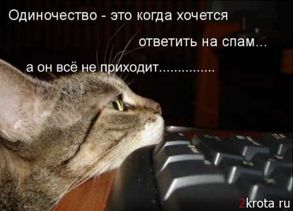 №63, Роман Рубцов, 42 года, Луганск №63, Роман Рубцов, 42 года, Луганск