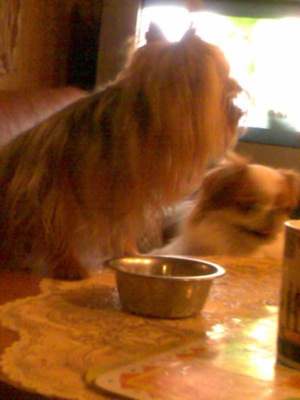 Ольга Герасимова | Санкт-Петербург