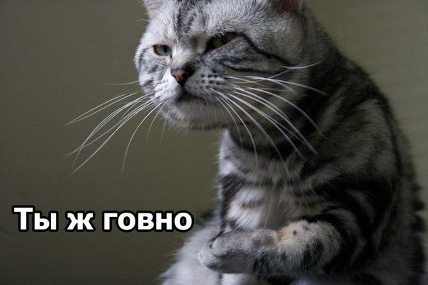 №16, Назар Микитин, Рогатин №16, Назар Микитин, Рогатин