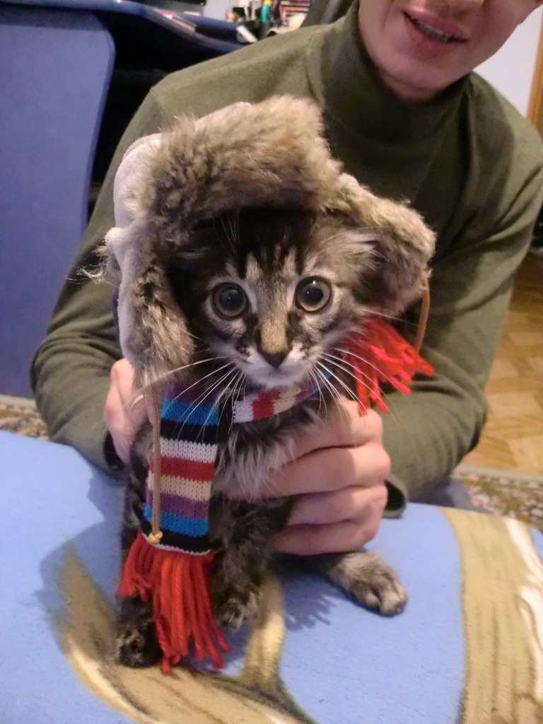 Ольга Глезова | Минск