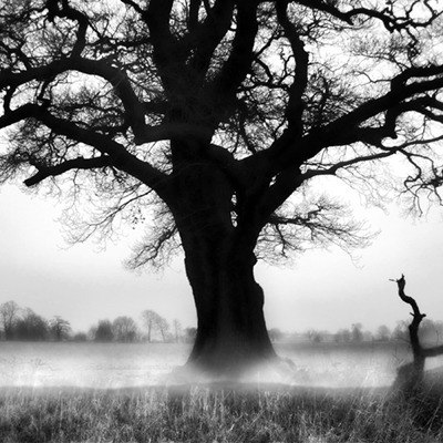 Маша Сива | Здолбунов