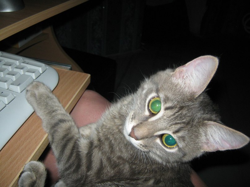 Павел Русских | Кирово-Чепецк