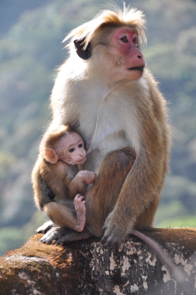 Владимир Уткин | Санкт-Петербург