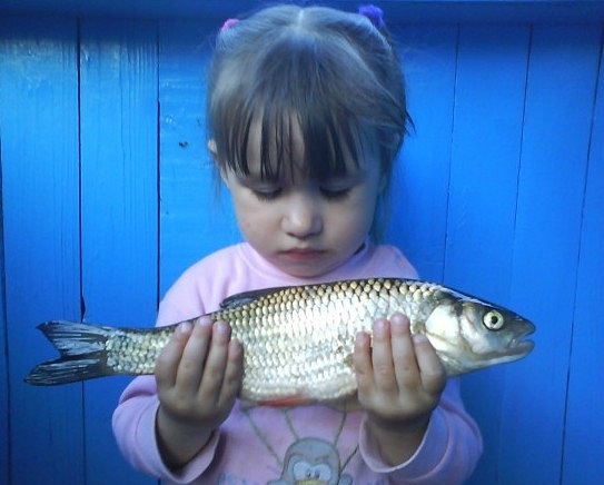 №102, Надежда Заболотникова, 53 года, Москва №102, Надежда Заболотникова, 53 года, Москва