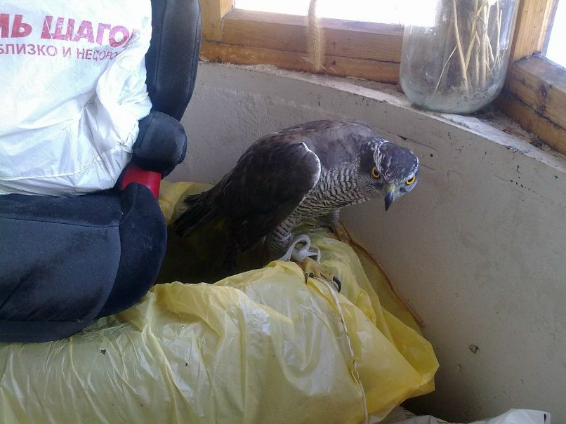 Анастасия Шуцкая | Санкт-Петербург