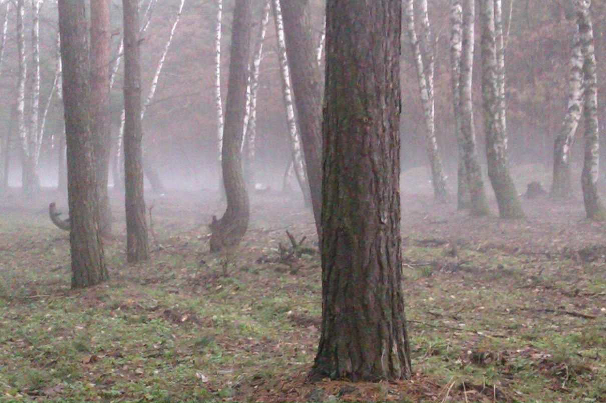 Галина Юркина | Воронеж