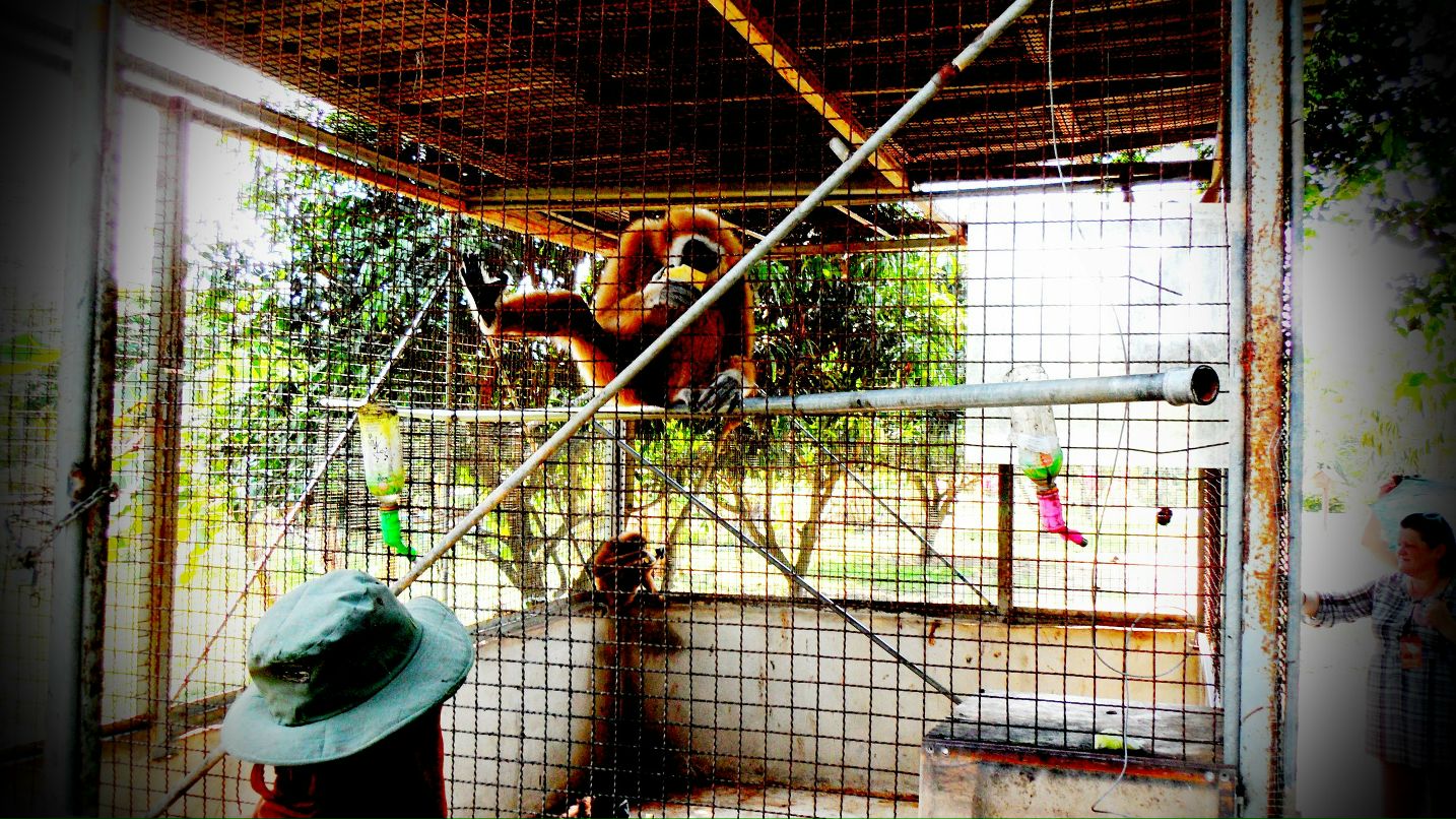 Андрей Andryou | Москва