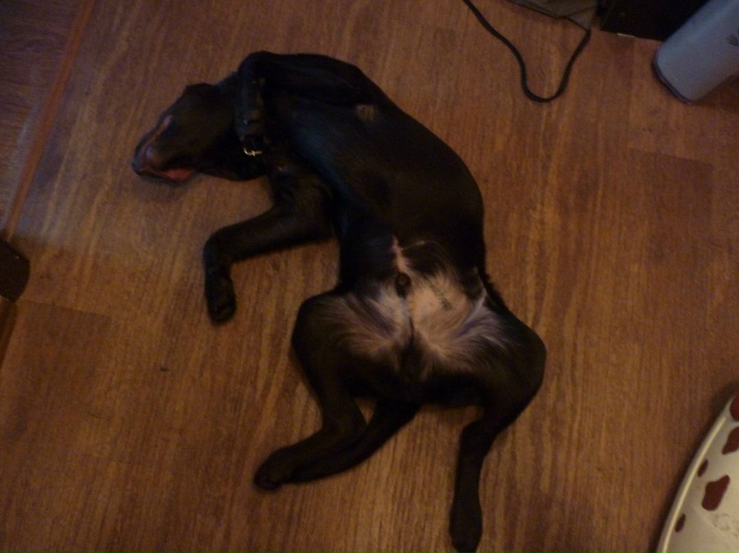 Андрей Прокофьев | Нижнекамск