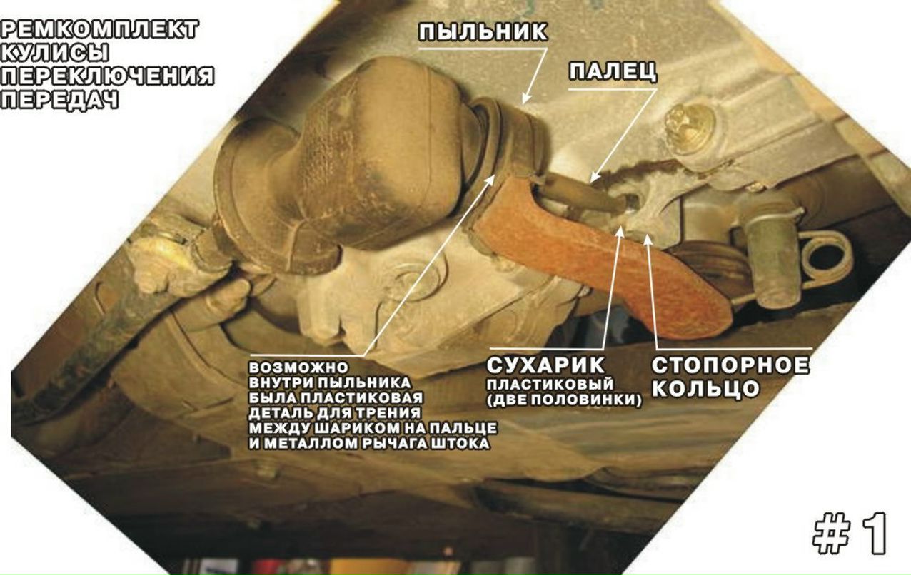 Анатолий Кузнецов | Мурманск