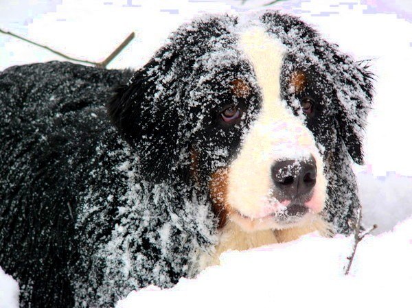 Виктория Муретова | Москва