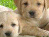 Татьяна Петрова | Красноярск