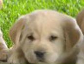 Татьяна Петрова | Красноярск