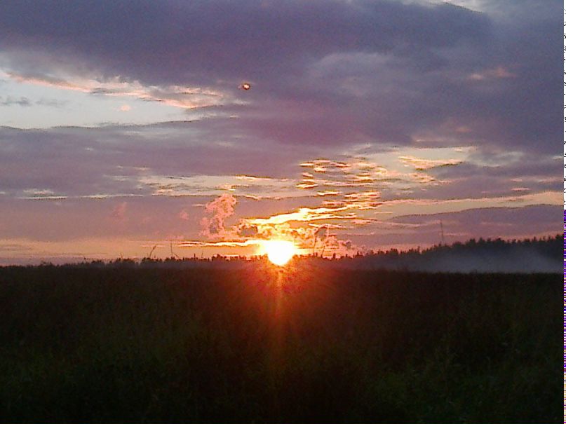 Елена Семагина | Санкт-Петербург