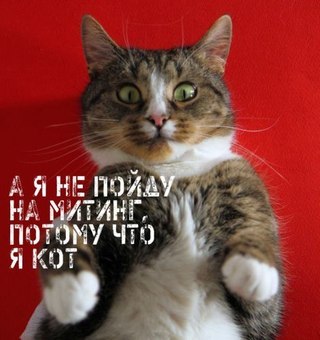 Николай Яковцев | Москва