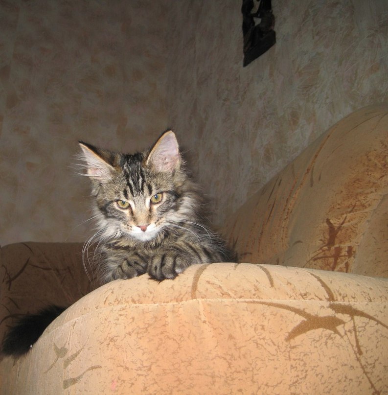 Ренат Маратович | Казань