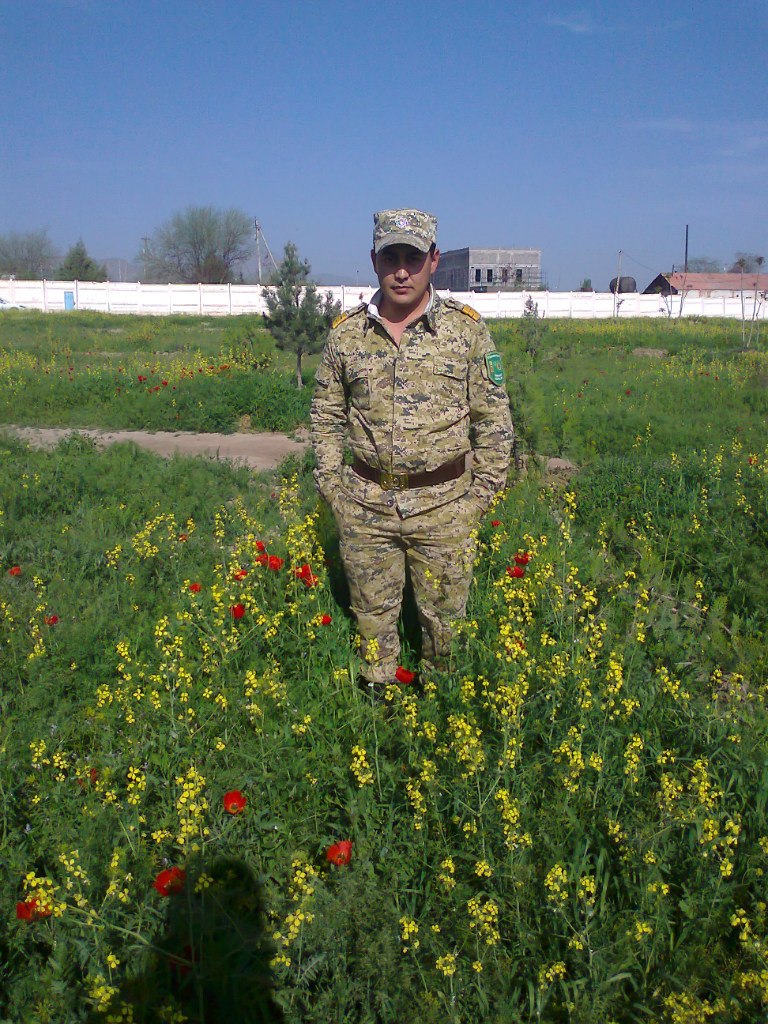 Kesha Pitbull | Ашхабад