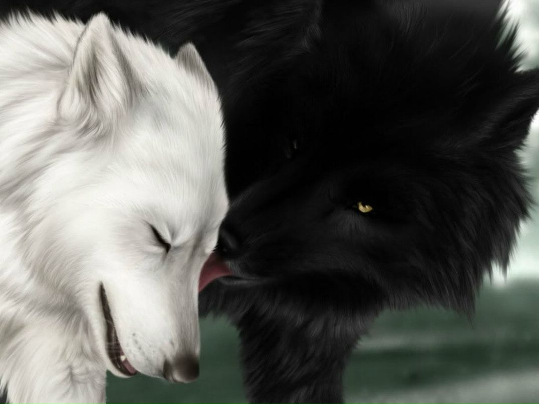 Димка Фин | Ревда