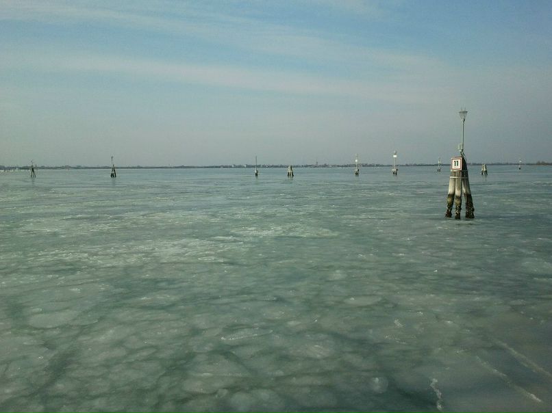 Елена Злобина | Venezia