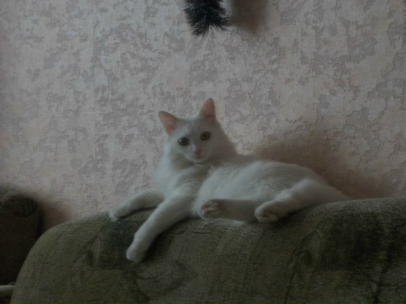 Toxa Zhvakin тоша | Сосновоборск