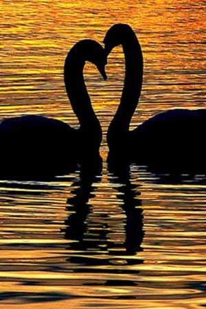 №7, София Коновальская, 37 лет, Токмак №7, София Коновальская, 37 лет, Токмак