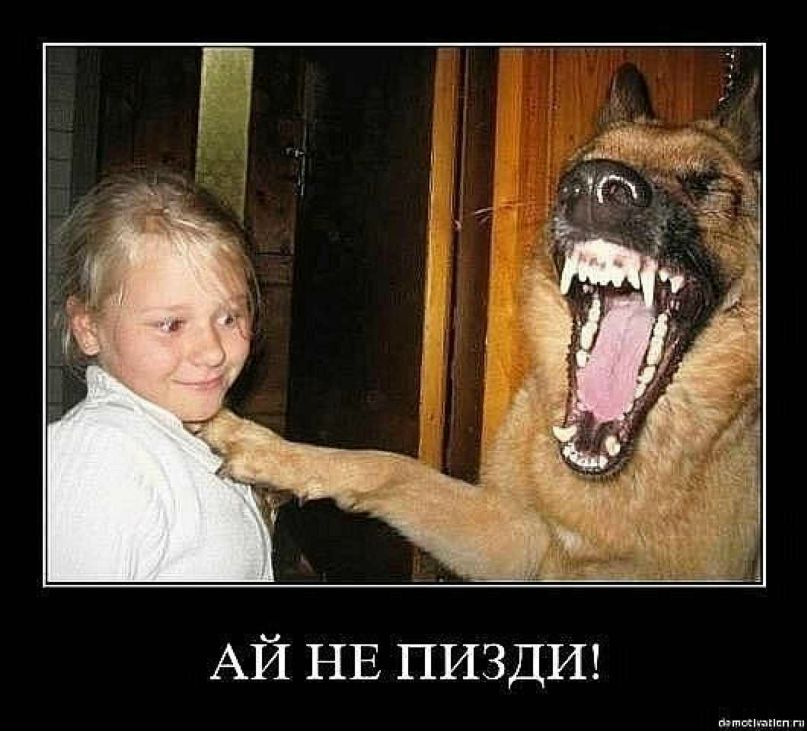 Александр Воронин | Санкт-Петербург