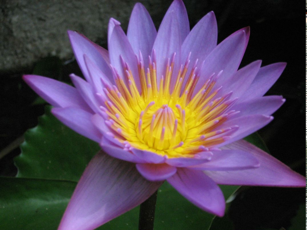 Ольга Шаталова | Абакан