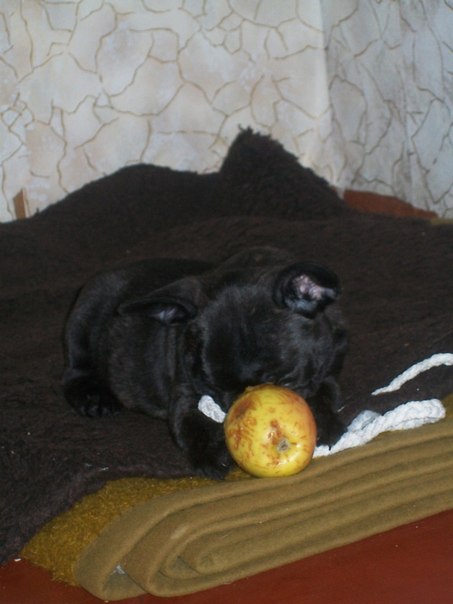 №18, Михаил Прохоров, 46 лет, Харьков №18, Михаил Прохоров, 46 лет, Харьков