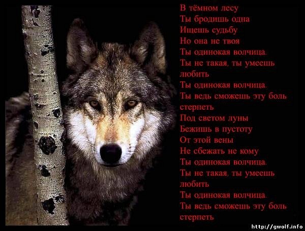 №95, Иванна Яценко, Одесса №95, Иванна Яценко, Одесса