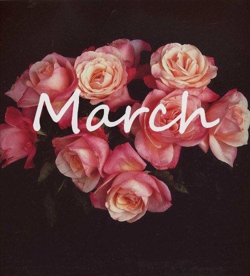 Анна Зайцева | Тверь