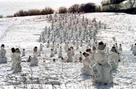 Ольга Николаева | Санкт-Петербург