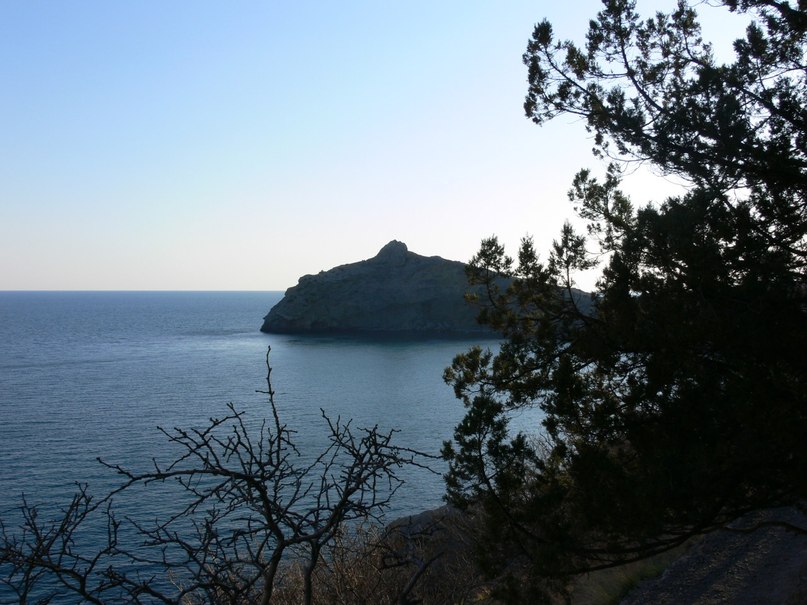 Маришка Решетняк | Черновцы