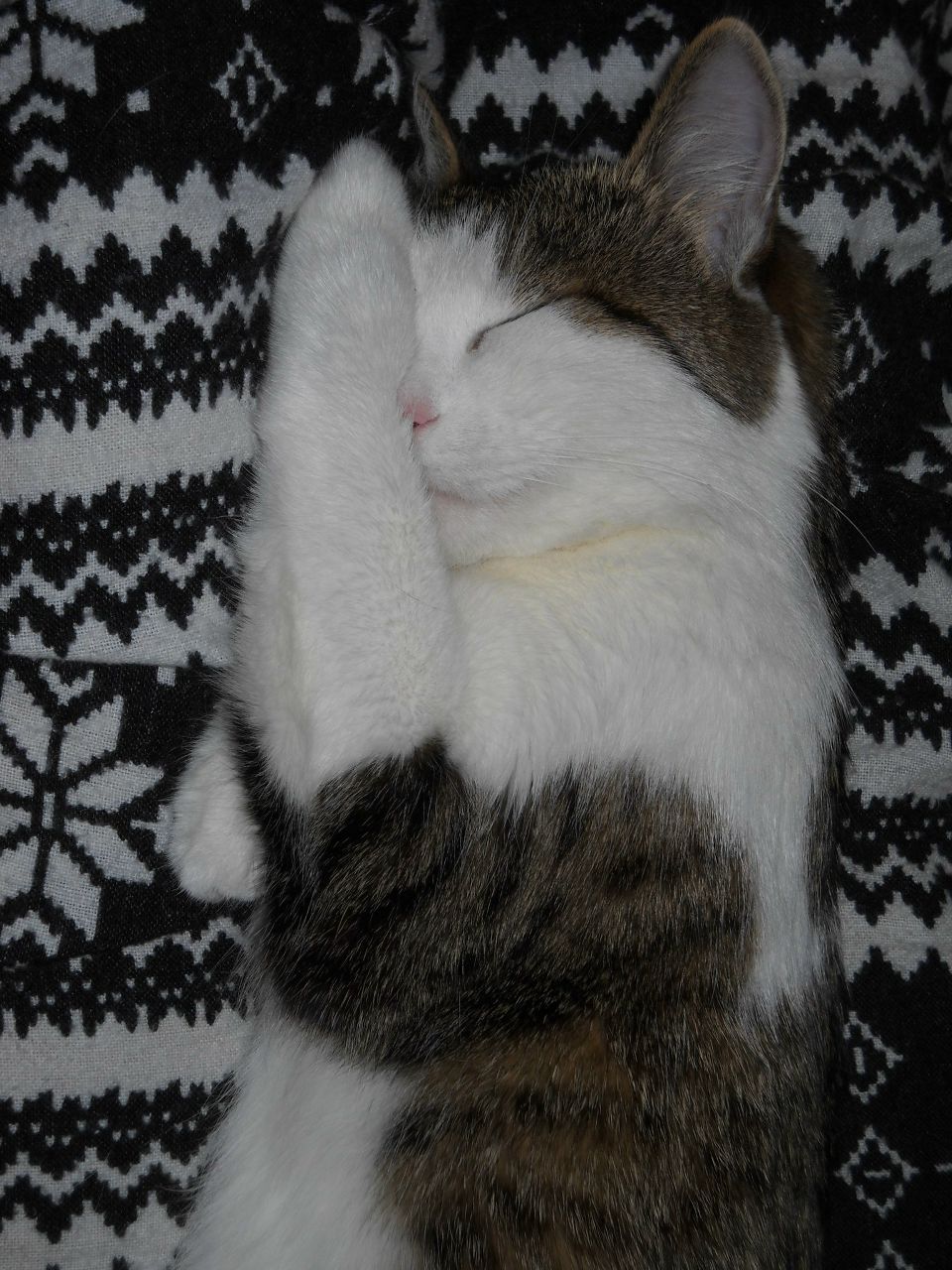 Денис Клыков | Ростов-на-Дону