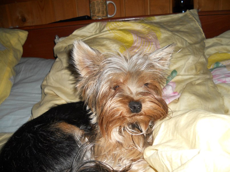 Софья Романовская | Санкт-Петербург