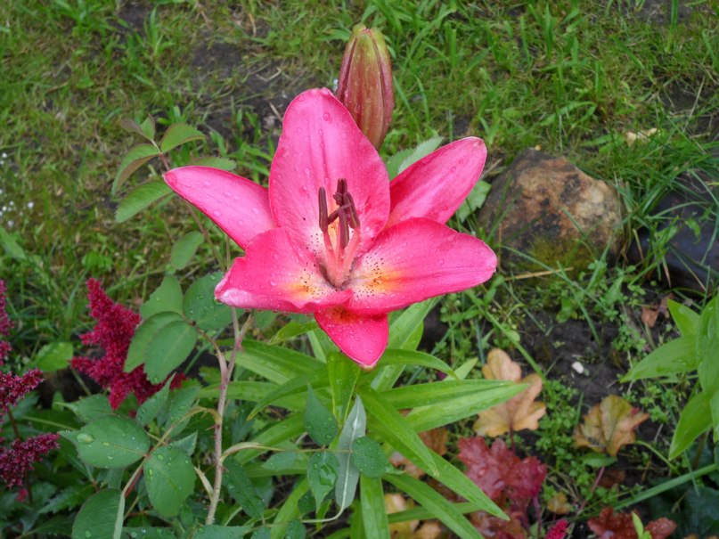 Вера Котова Николаевна | Ярославль