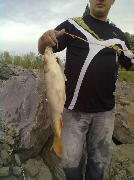 №17, Михаил Головнев, Ростов-на-Дону №17, Михаил Головнев, Ростов-на-Дону