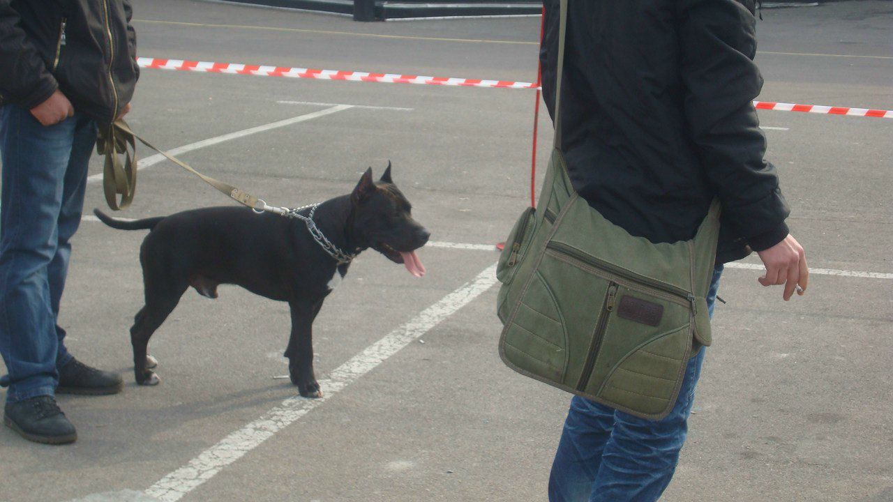 Александр Лозовой | Киев