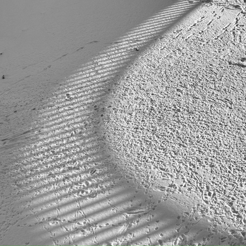 Александр Карасев Сергеевич | Санкт-Петербург