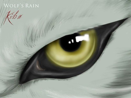 Kostik Koshkin | Москва