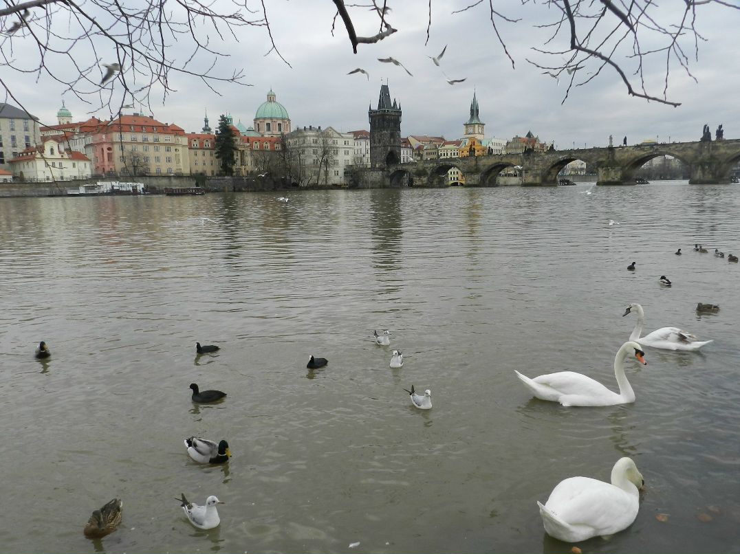 Анастасия Гурьян | Москва